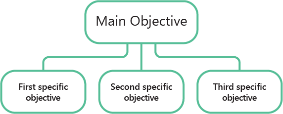 The general objective