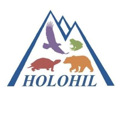 Holohil