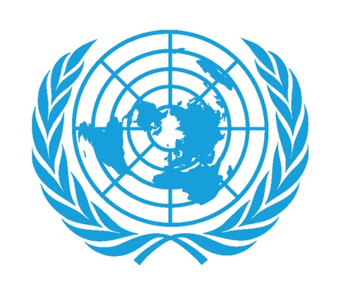 United Nations Office for Project Services (UNOPS)